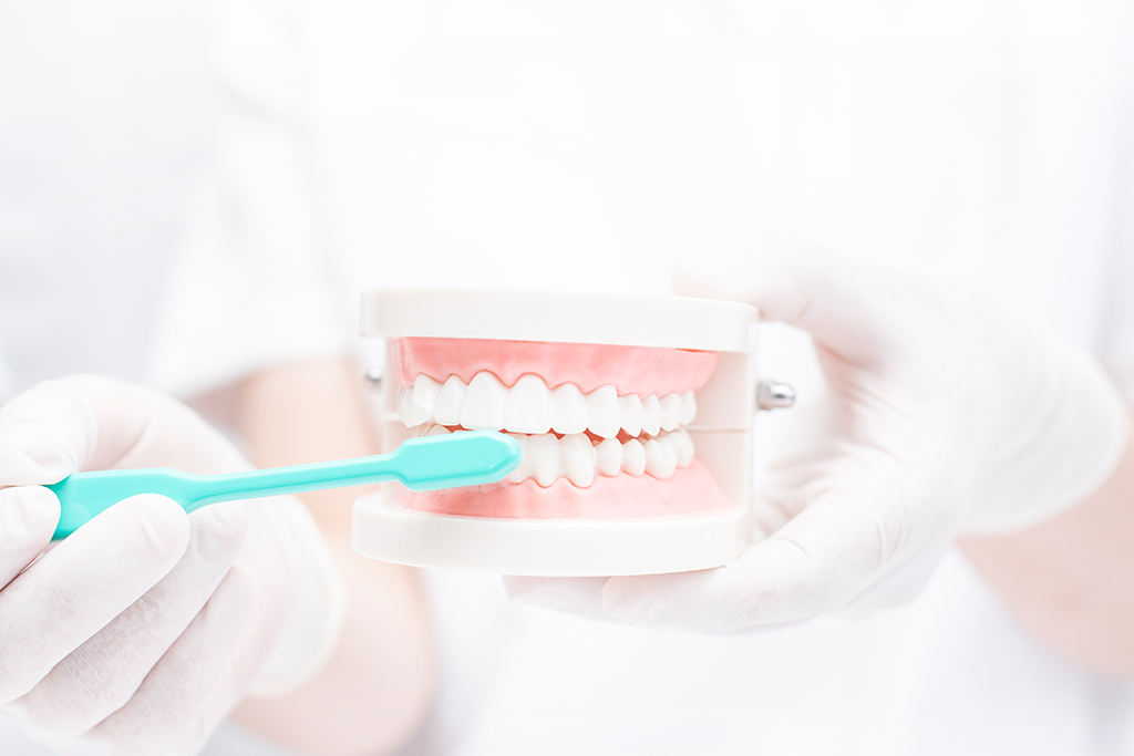 川口ガーデン歯科クリニックの予防・クリーニング
